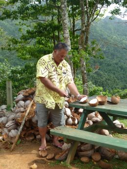 Kurs i kokos åpning
